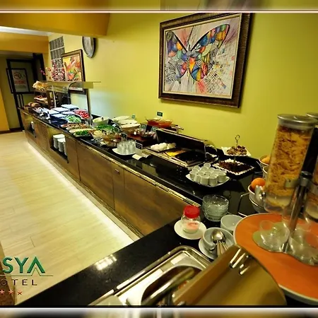 Hotel Asya 3*