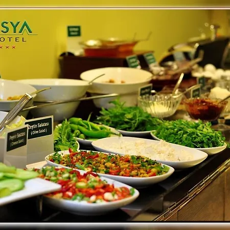 Asya Hotel 3*