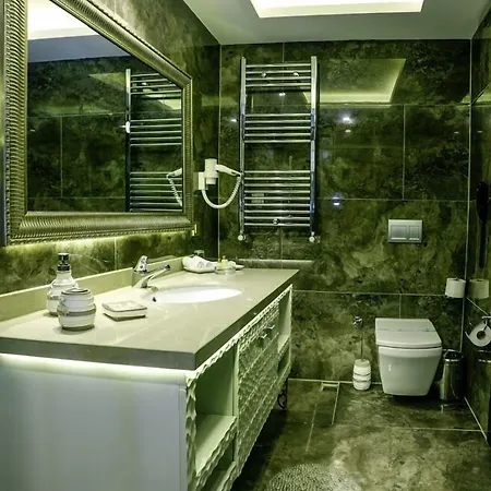 Hotel Asya