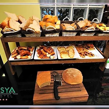 Hotel Asya 3*