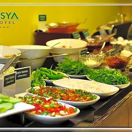 Hotel Asya