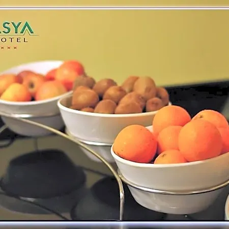 Hotel Asya