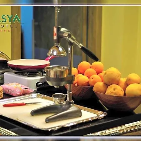 Hotel Asya