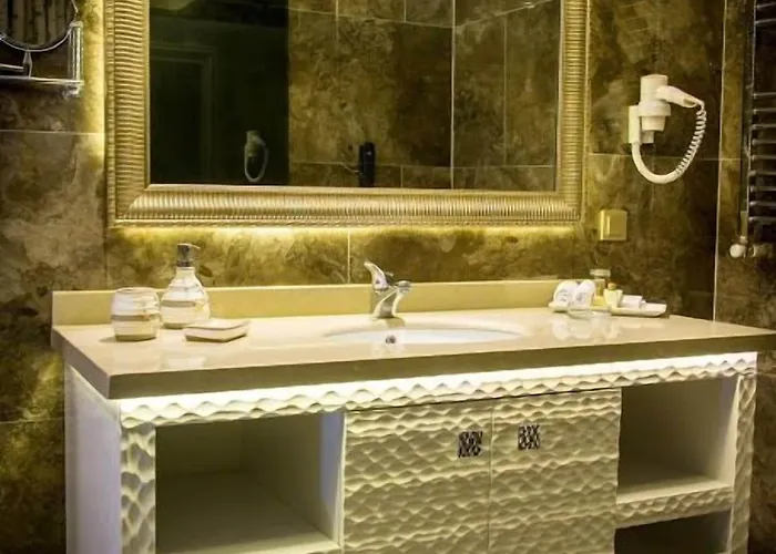 Asya 호텔 발리케시르